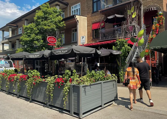 Boutique hotels Petit - Cafe Krieghoff